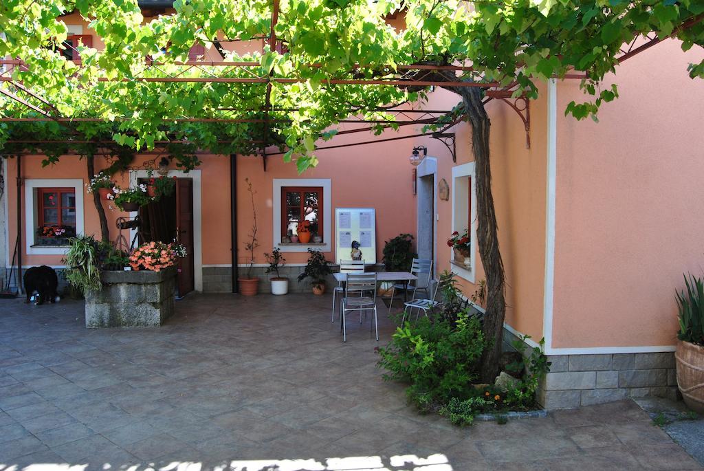Tourist Farm Dujceva Domacija Vremski Britof Exterior foto