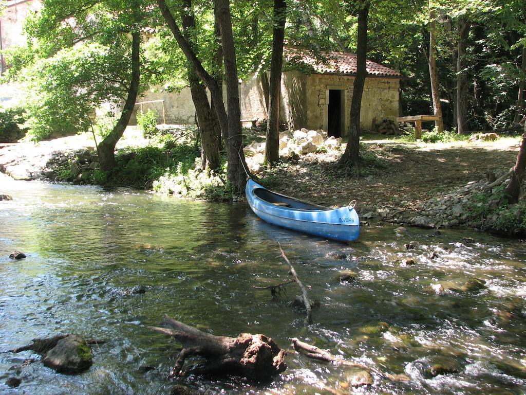 Tourist Farm Dujceva Domacija Vremski Britof Exterior foto